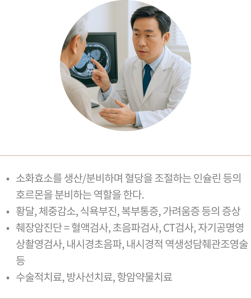 암 img 04.png